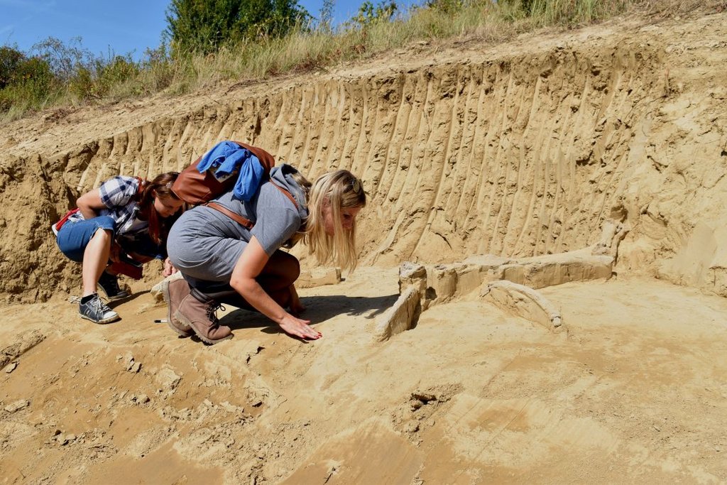 02 – Archeologický a paleontologický prieskum nálezovej situácie, autor: Peter Grznár